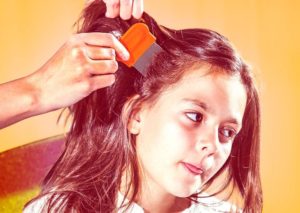 Signs Your Child May have Head Lice