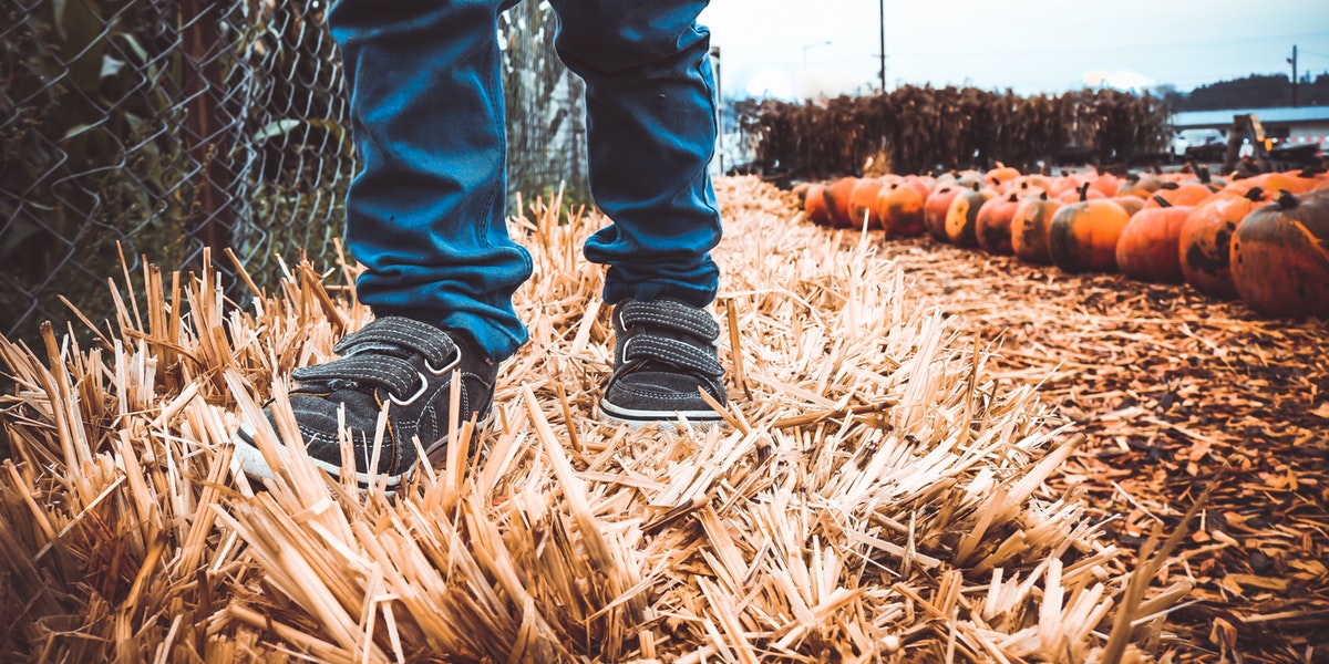 Don’t Let Head Lice Scare You Out of Halloween