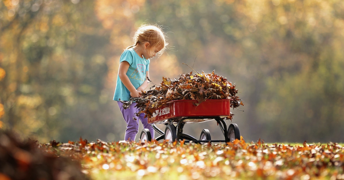 preventing head lice during the fall