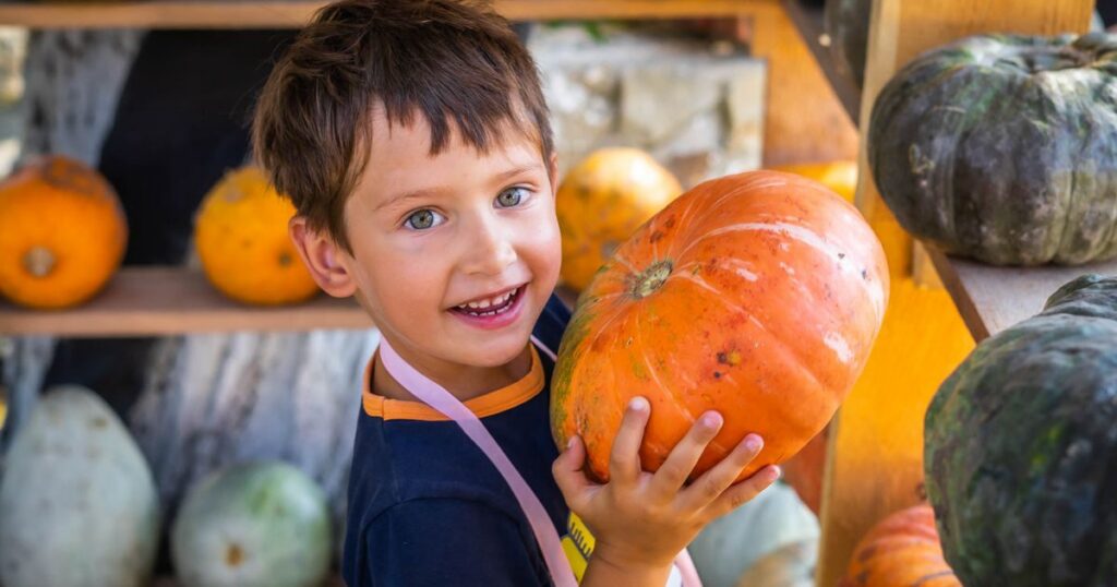 Little boy holding a pumpkin during fall